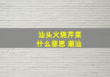 汕头火烧芹菜什么意思 潮汕